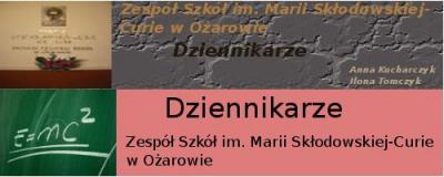 baner ilony i Ani